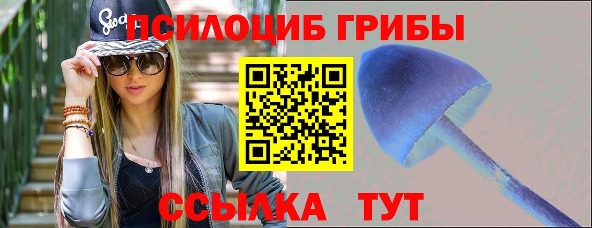 Псилоцибиновые грибы мухоморы  Вход с VPN  что такое наркотик  Великие Луки 